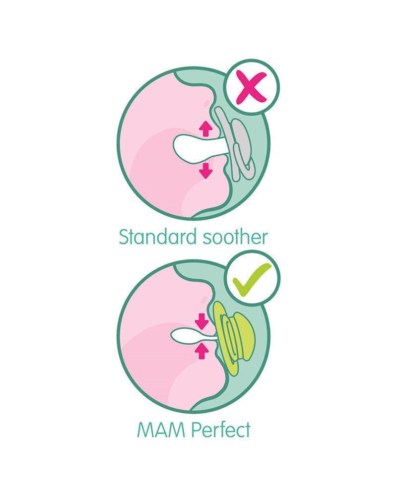 Sucette MAM Perfect 2 - 6m - loutre de mer - Parafa Maroc para