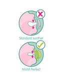 Sucette MAM Perfect 2 - 6m - loutre de mer - Parafa Maroc para